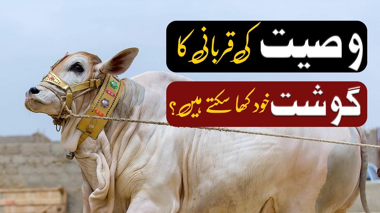 Kya Wasiyat Ki Qurbani Ka Gosht Khud Kha Sakte Hain?